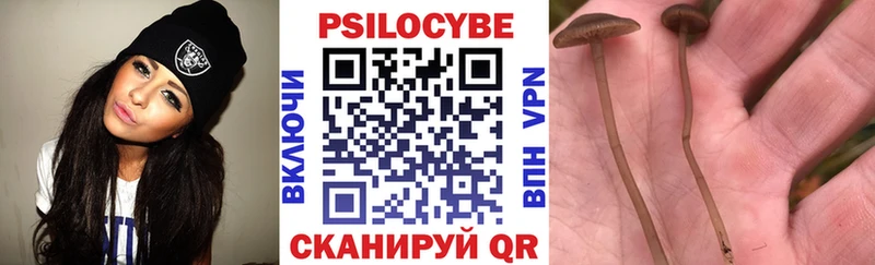 Псилоцибиновые грибы MAGIC MUSHROOMS  где можно купить наркотик  Пласт 